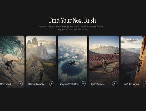 Interactive image display component showing dynamically updated visuals on hover over text items.