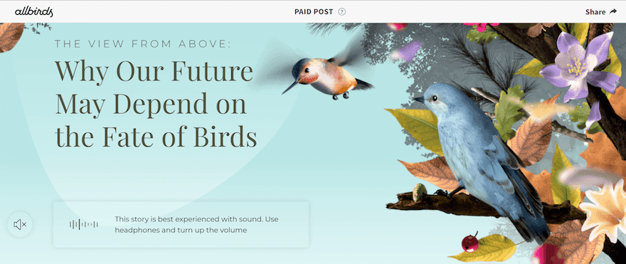 All Birds