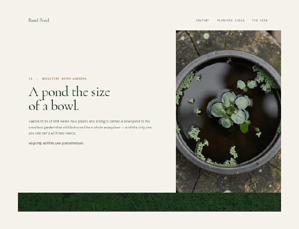 A guide to building miniature bowl ponds with plant layout diagrams.