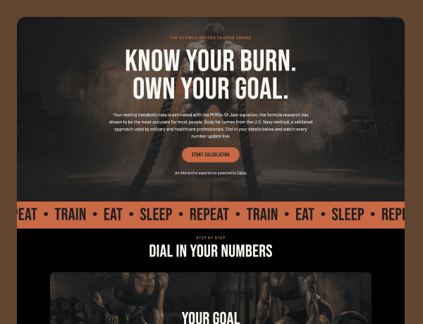 Interactive fitness and calorie intake calculator template interface