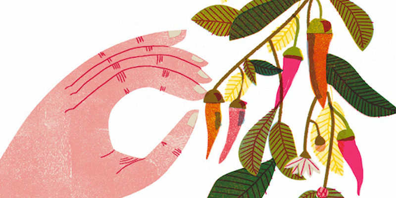 Barbara Dziadosz Illustration